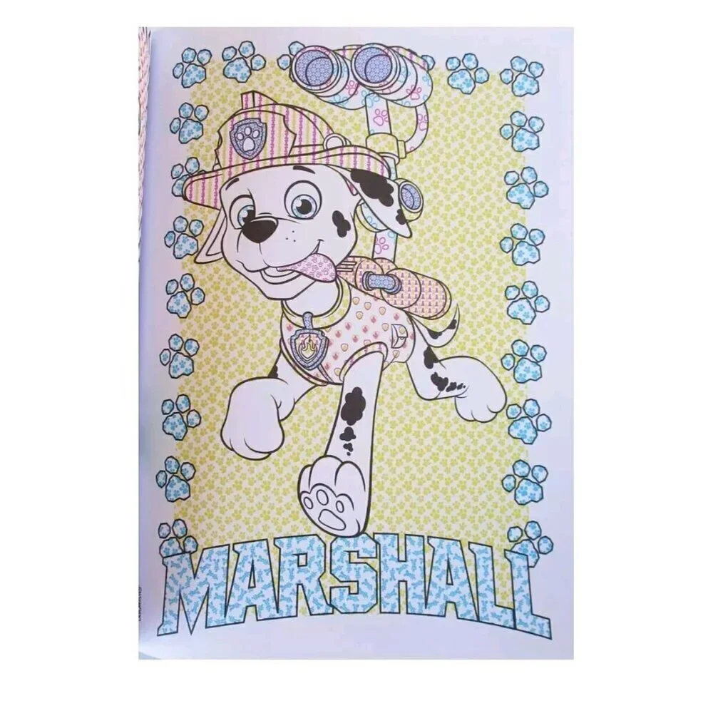 Paw Patrol (Nickelodeon) Paint With Water Book Painting Pups